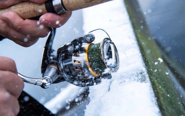 Experience Fish and Drink Cozumel