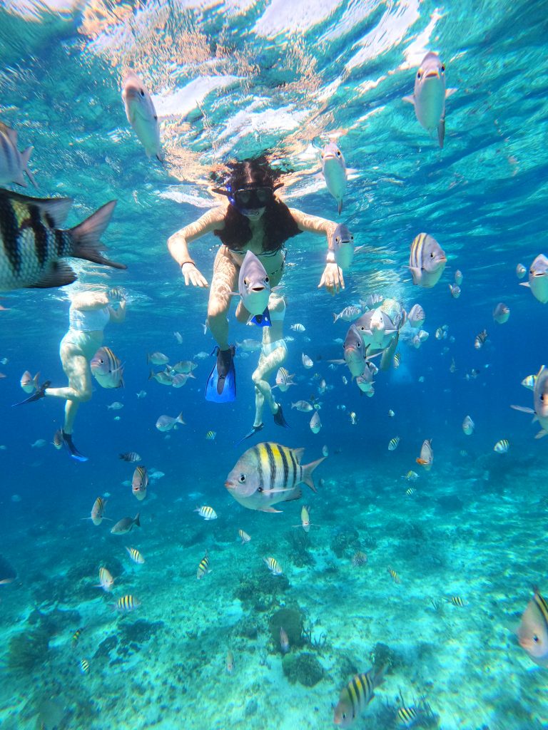Snorkelers among colorful reef fish