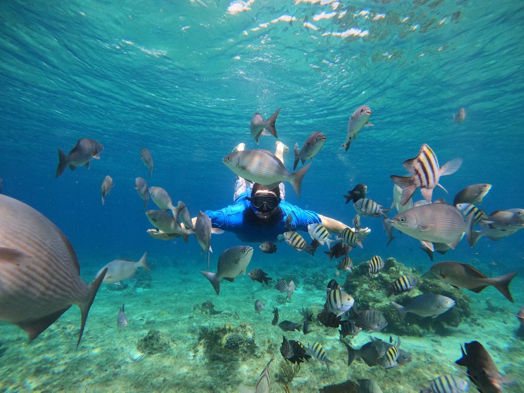 Swimming with a school of tropical fish