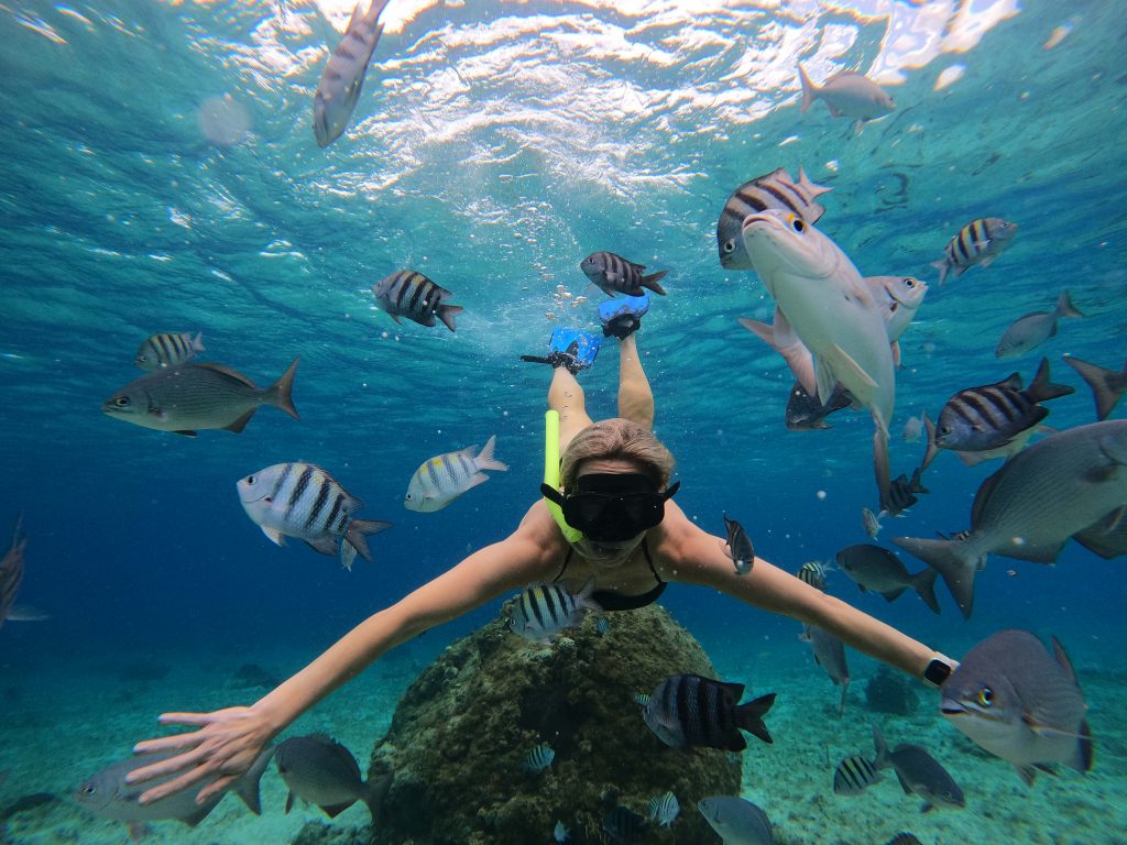 Diver surrounded by tropical fish
