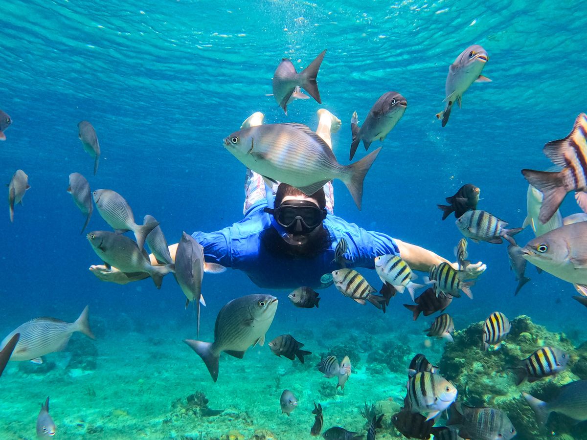 Snorkeler swimming among reef fish in Cozumel